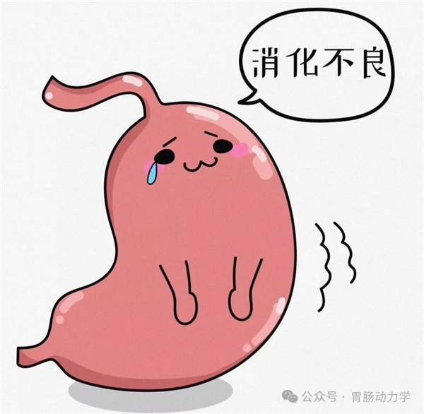揭开功能性消化不良的神秘面纱(图1) 微信图片_20250515164013.jpg